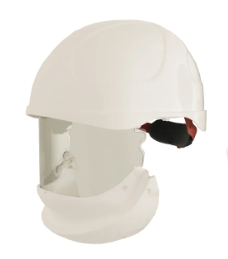 BSD ErgoS Intec Power - Arc Flash Helmet with Integrated Face Shield